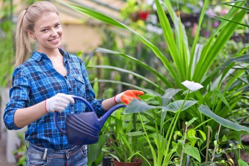 Gardener carrying out professional garden maintenance at a property