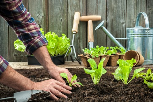 Gardeners Penge maintaining a tidy and attractive local garden