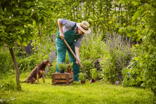 Image illustrating a resolved gardening service concern