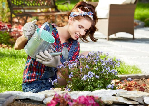 Seasonal garden maintenance and tidy-up services in Penge