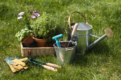 Healthy trimmed lawn with clean borders in Penge
