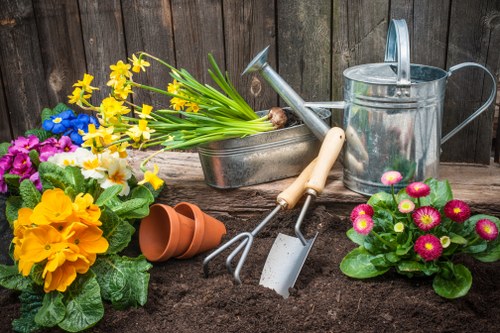 Gardeners in Penge caring for a healthy outdoor space