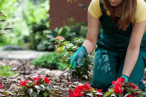 Lawn mowing and border care as part of gardening services in Penge