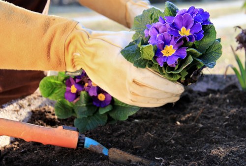 Seasonal landscape gardening in Penge with evergreen and flowering plants