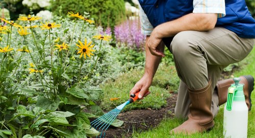 Hedge trimming and pruning work in a Penge garden