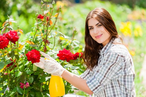 Keyboard navigation and accessible layout for Penge gardening services