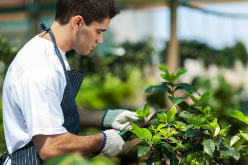 Cookie policy summary for Gardeners Penge