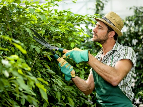 Ongoing modern slavery monitoring in Gardeners Penge operations