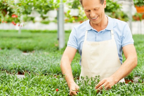 Final terms review for a UK gardening service agreement