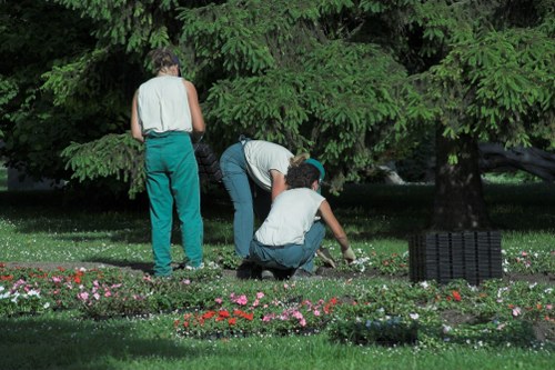 Local lawn care treatment for moss and weeds in Penge
