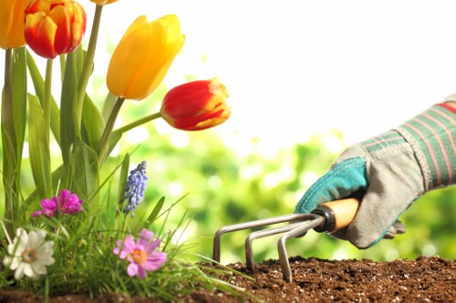 Professional fencing options for properties in Penge