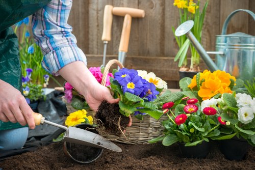 Penge gardeners improving a lawn and borders in a residential garden