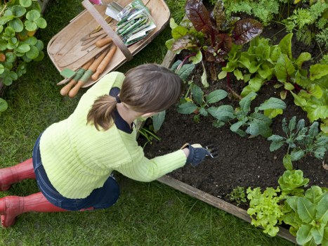 Local gardeners in Penge managing lawn and border maintenance