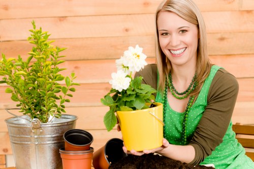 Image depicting quality review in garden maintenance