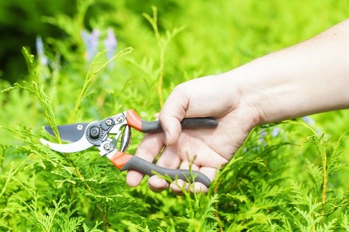 Professional gardeners in Penge focused on quality detail