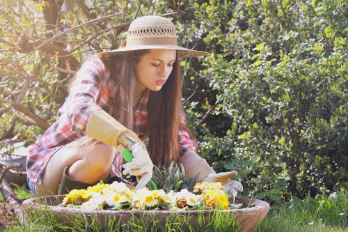 Seasonal lawn maintenance improving turf in Penge
