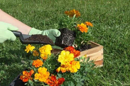 Risk assessment carried out before garden maintenance begins