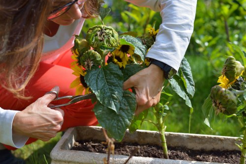 Low-carbon van used for sustainable garden waste collection