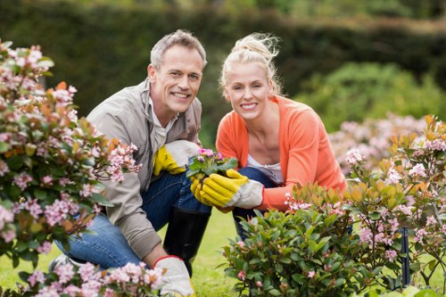 Professional landscaping in Penge with lawn, patio, and shrubs