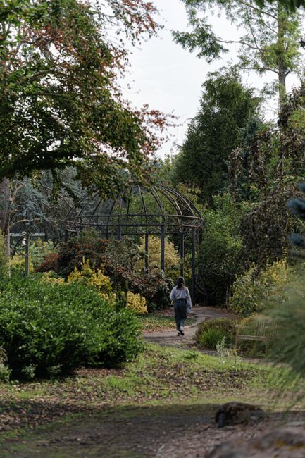 A person walking along a winding garden path within Crystal Palace Park, surrounded by lush greenery and tall trees. The garden features a variety of shrubs and flowering plants bordering the pathway,