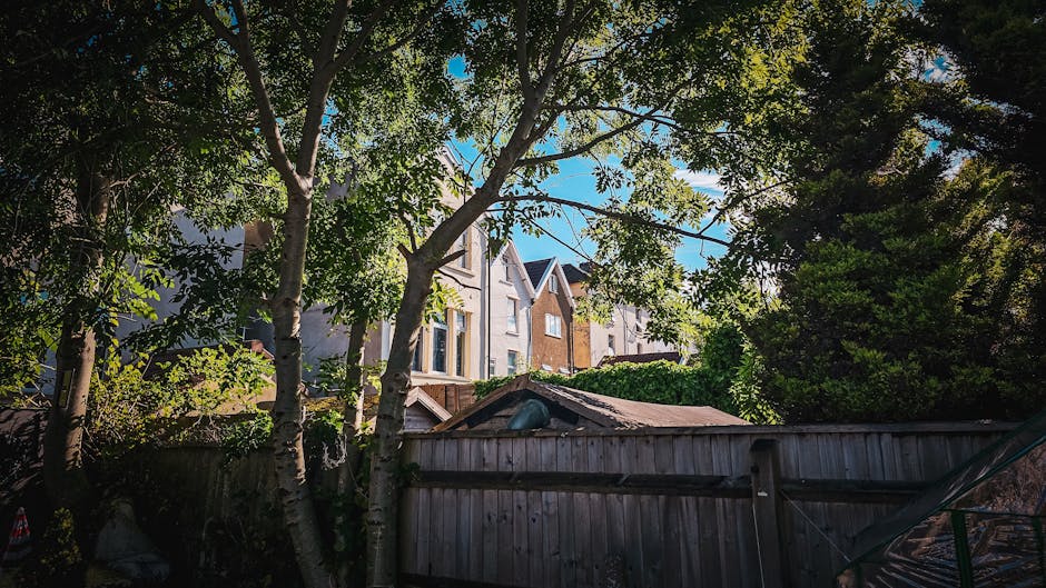 A garden scene during daytime featuring a wooden fence in the foreground with visible weathered texture and horizontal planks. Behind the fence, a patio shed with a sloped roof, partially obscured by 