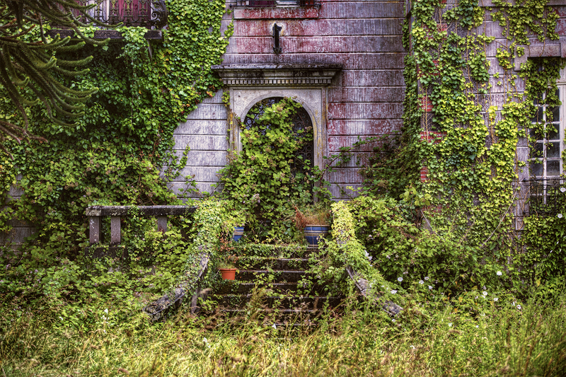 garden lawn